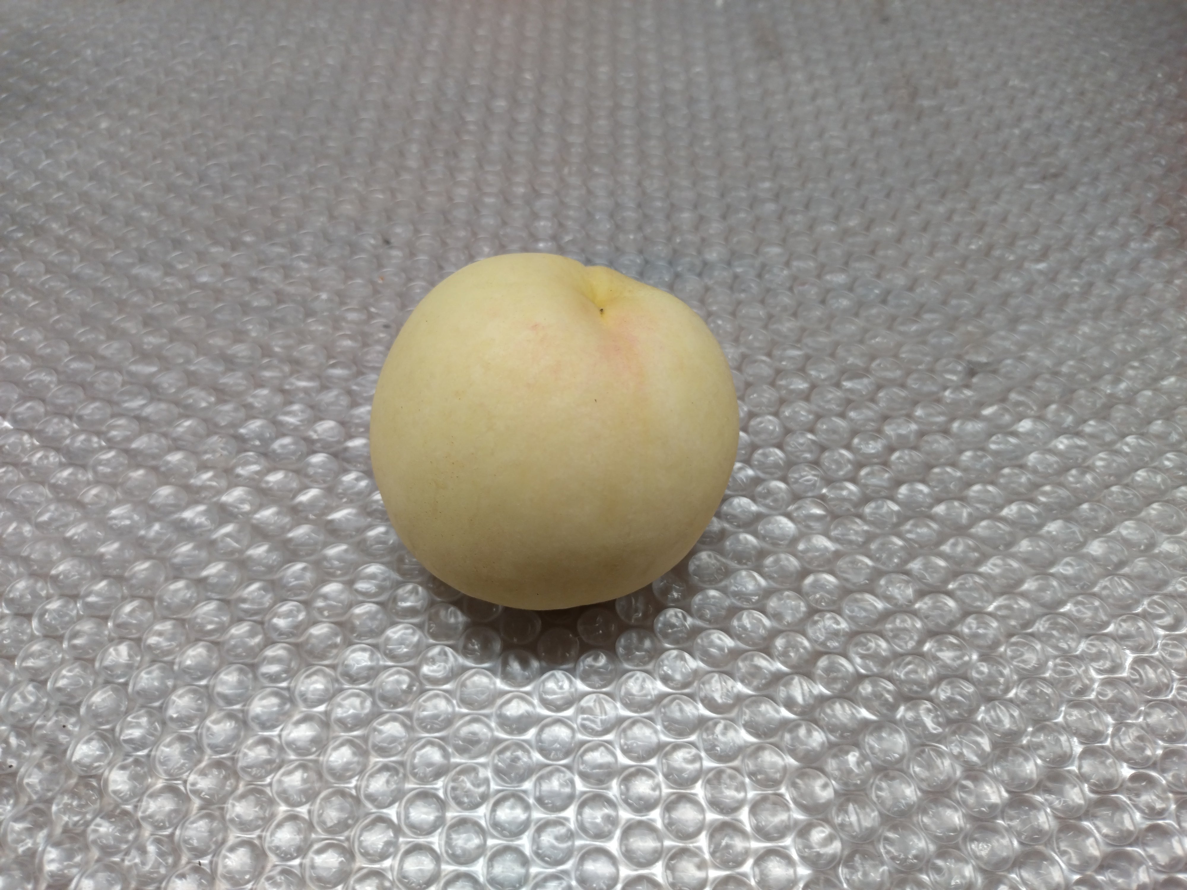 農産物紹介 – 西永農園