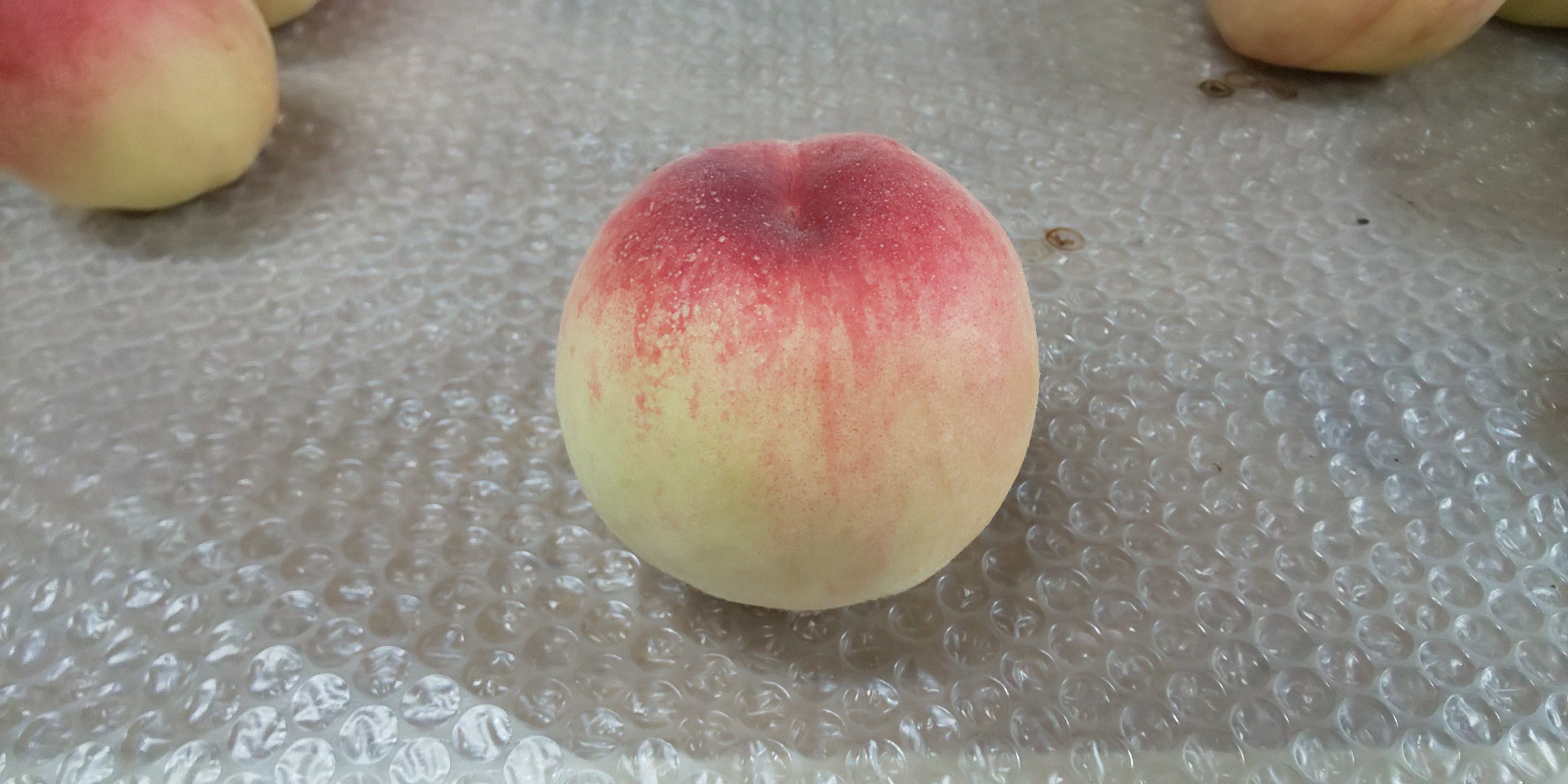 農産物紹介 – 西永農園